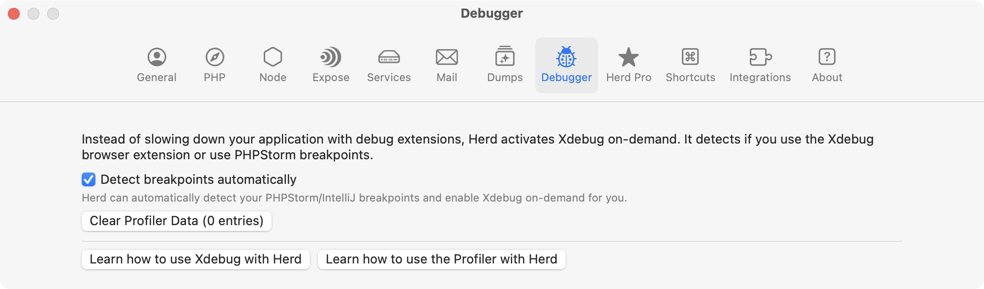 Debugger Settings