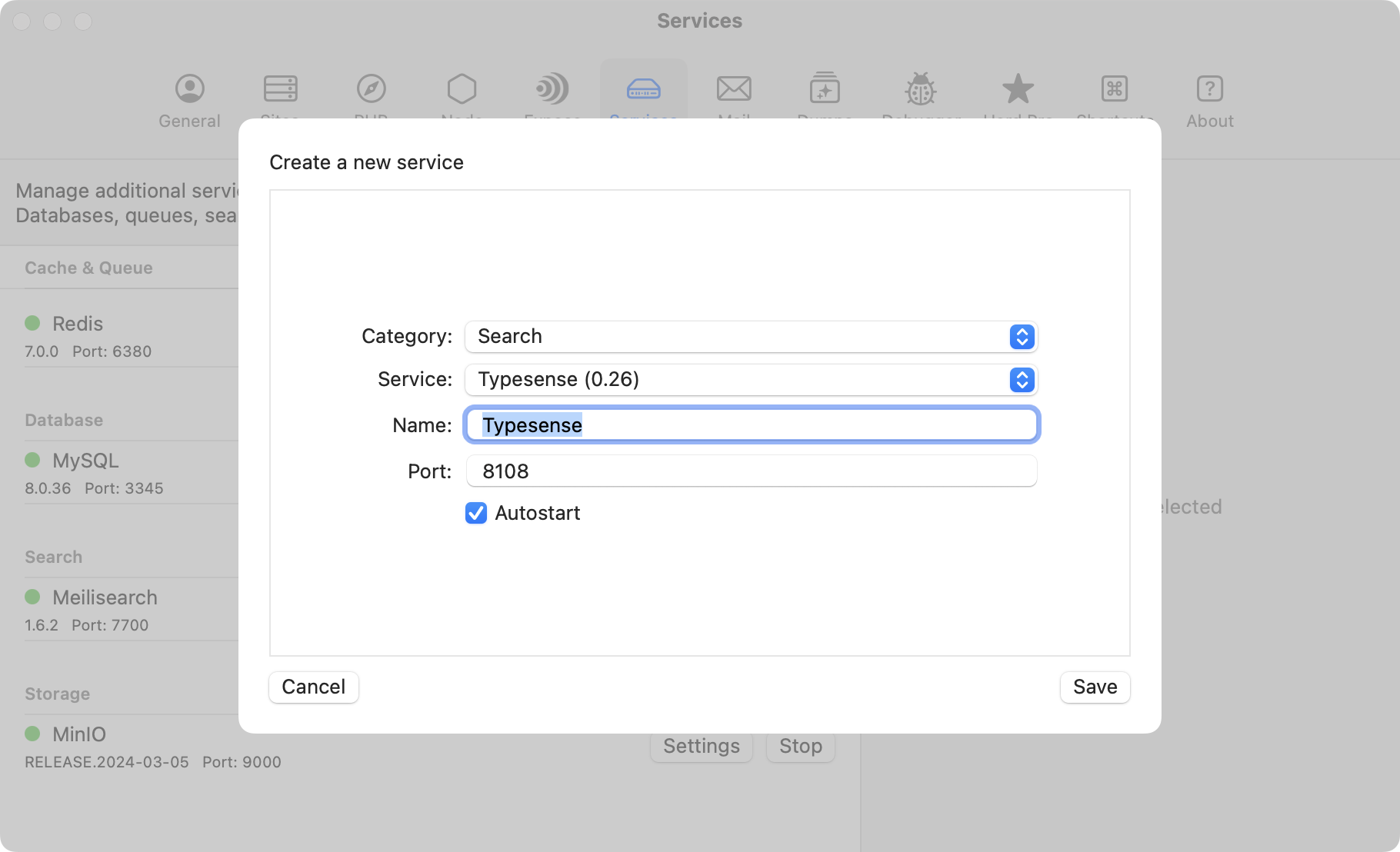 Screenshot of Typesense settings